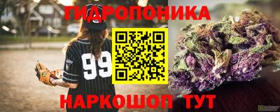 стаф Кунгур