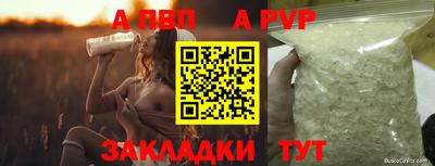 стаф Кунгур