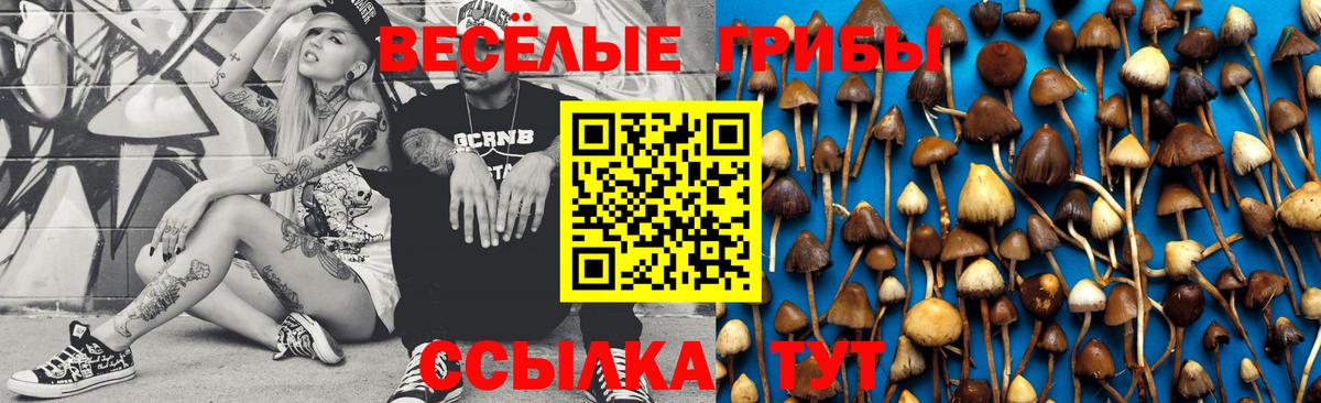 Урай  Галлюциногенные грибы GOLDEN TEACHER  Псилоцибиновые грибы Psilocybine cubensis  Вход с VPN 